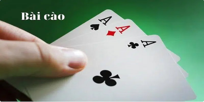 Giới thiệu đôi nét về bài cào