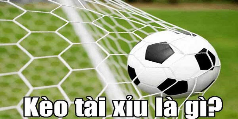 Các bước xác định cách tính tài xỉu bóng đá