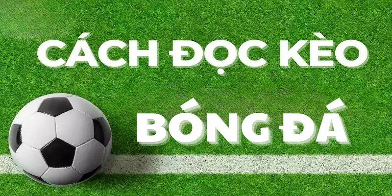 Hiểu về tỷ lệ kèo tài xỉu